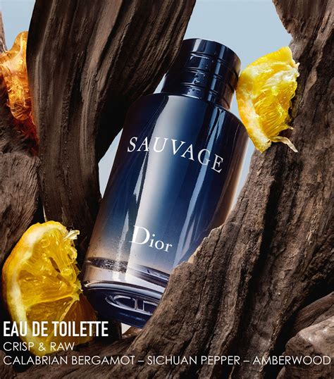 Sauvage Eau de Toilette: Gift Box, Fresh & Woody Notes 